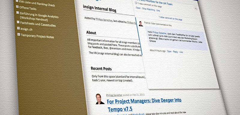 Screenshot aus dem insign-Confluence