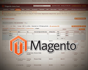 Magento-Editionen im Vergleich